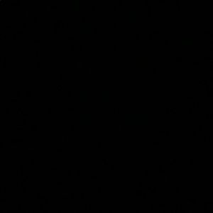 Meet your Posher, Ricky